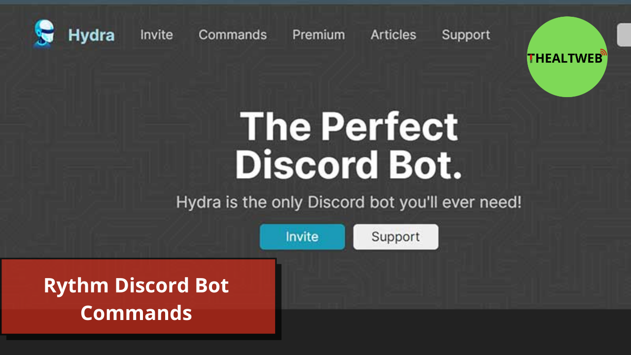 Rythm Discord Bot Commands – What It Is and How to Use It? Updated Commands in 2022!