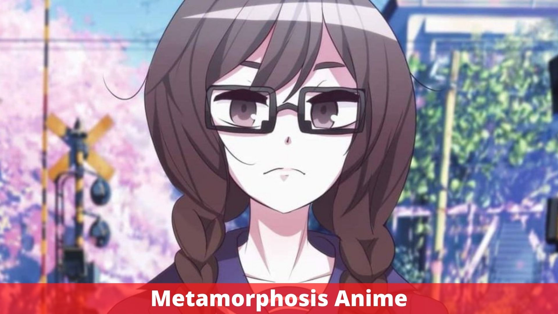 Metamorphosis Anime - Release Date, Plot, And More!