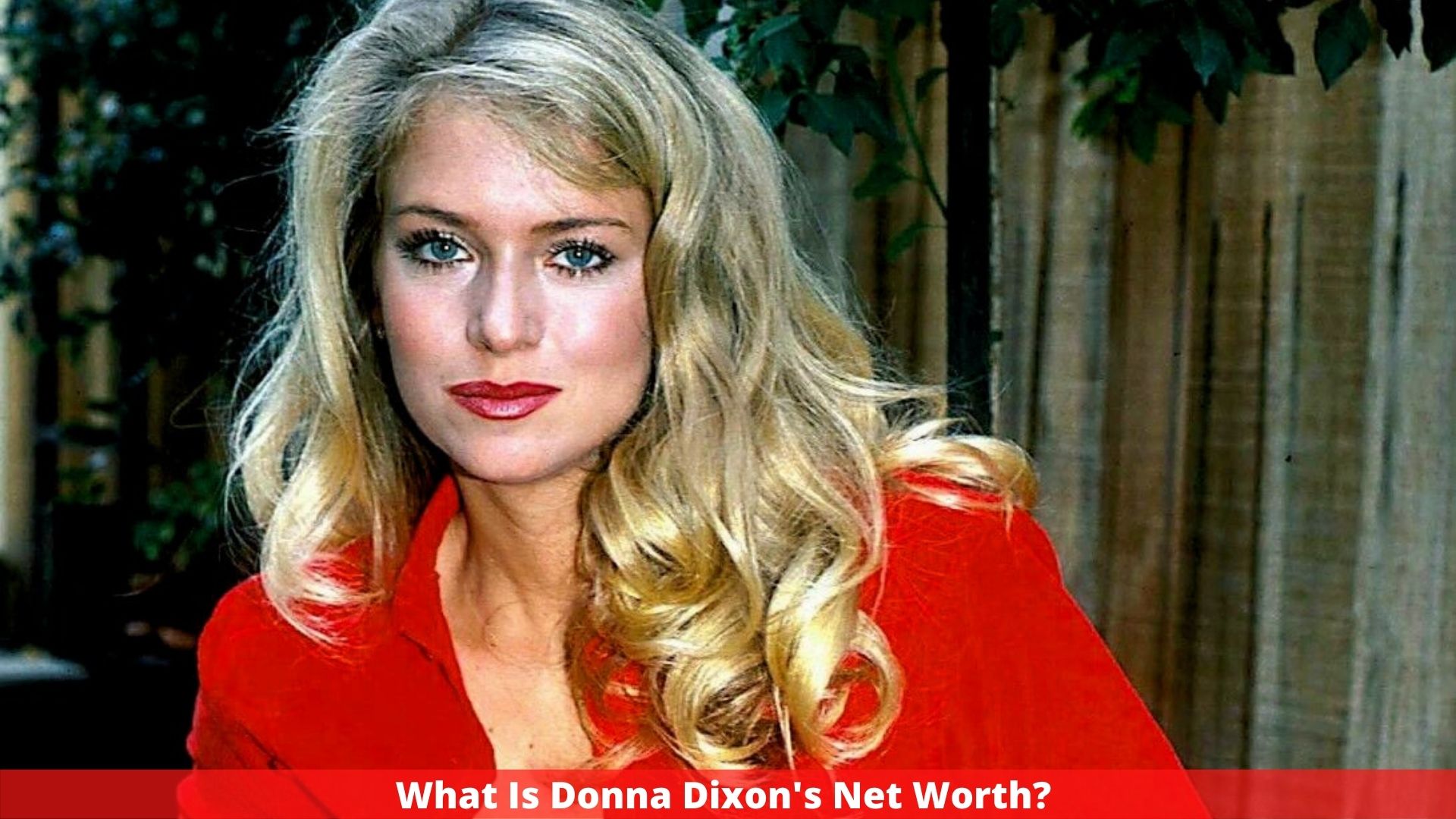 What Is Donna Dixon's Net Worth? Everything You Need To Know