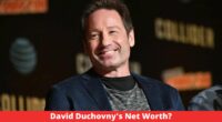 David Duchovny's Net Worth?