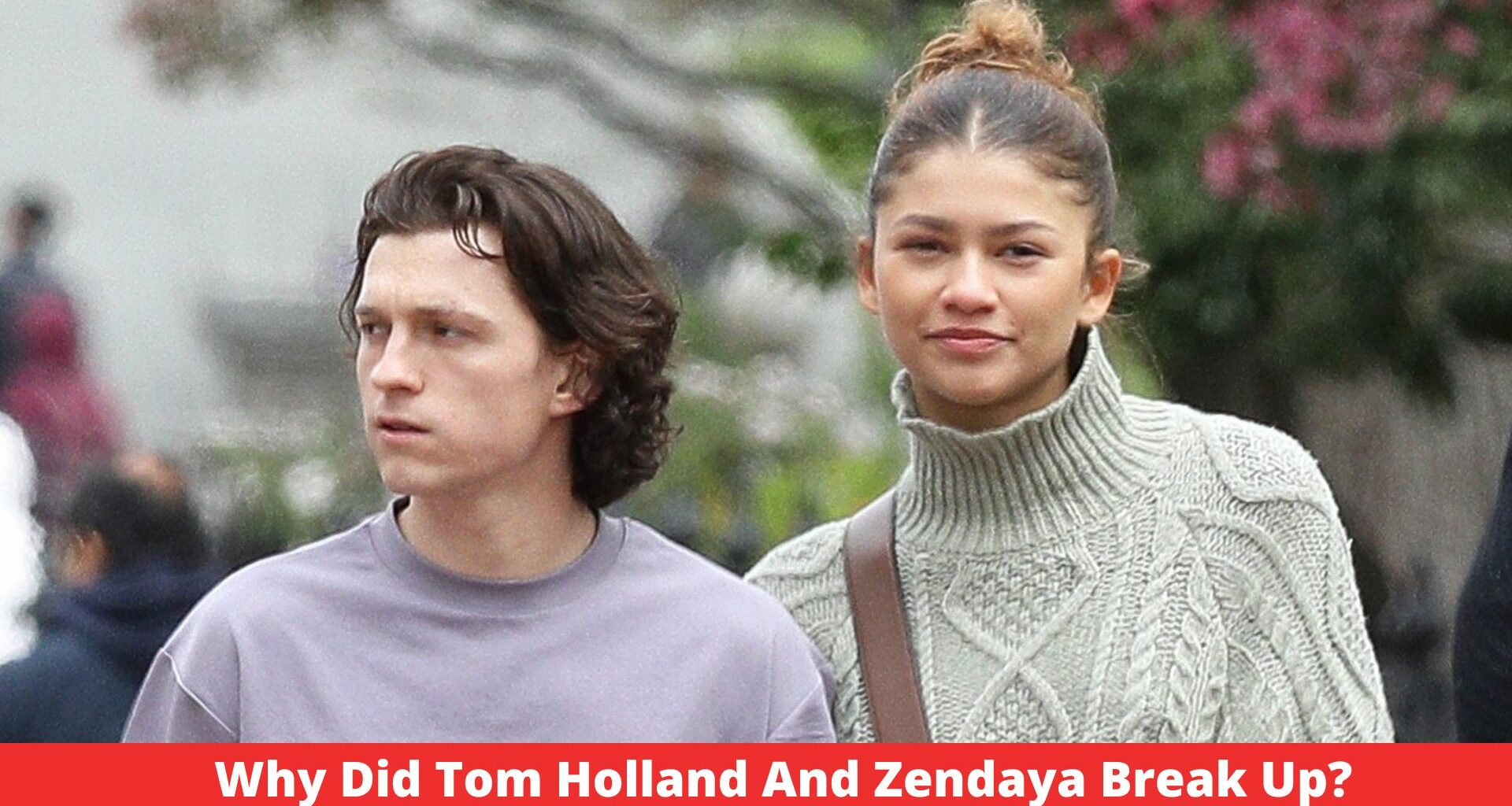 Why Did Tom Holland And Zendaya Break Up? TheAltWeb