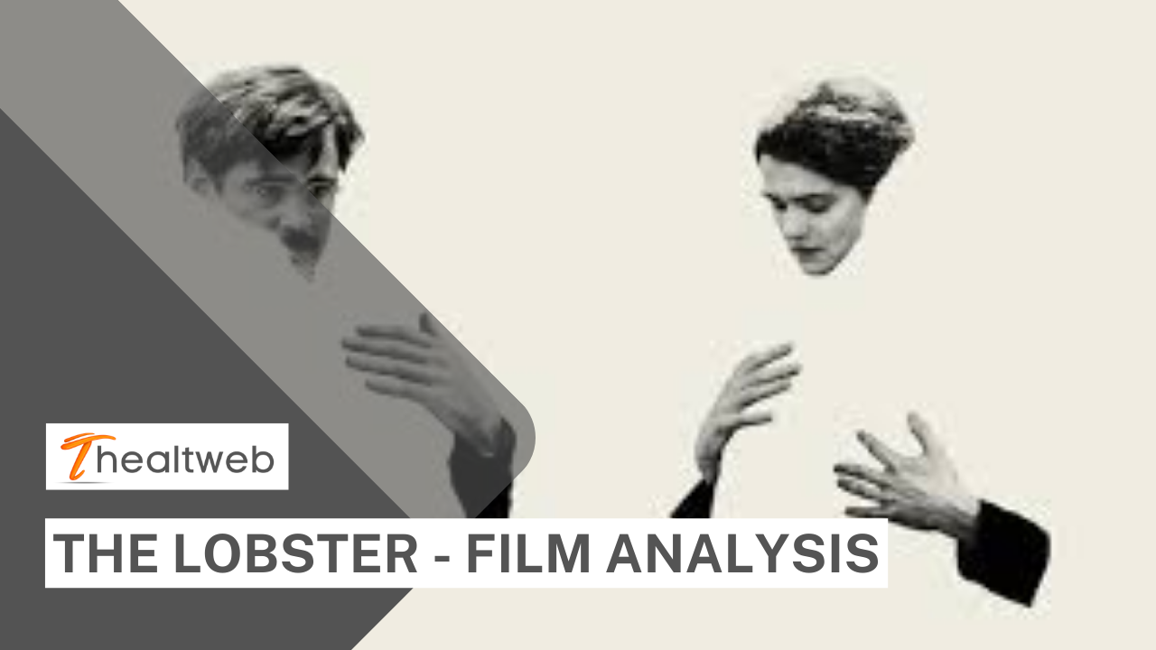 The Lobster - Film Analysis Explained!