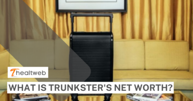 What is Trunkster's Net Worth After Shark Tank? Complete Details!