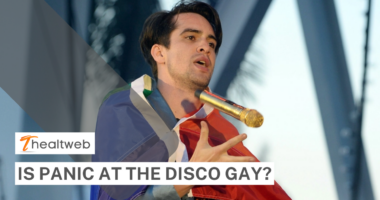 Is Panic At The Disco gay? Complete Details!
