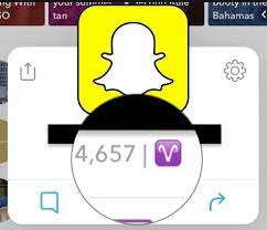 What Does The Purple Circle Mean On Snapchat? 