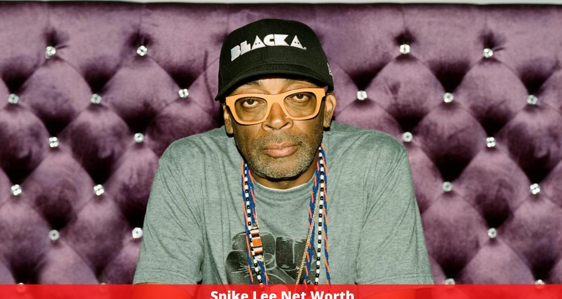 Spike Lee Net Worth Complete Details! TheAltWeb