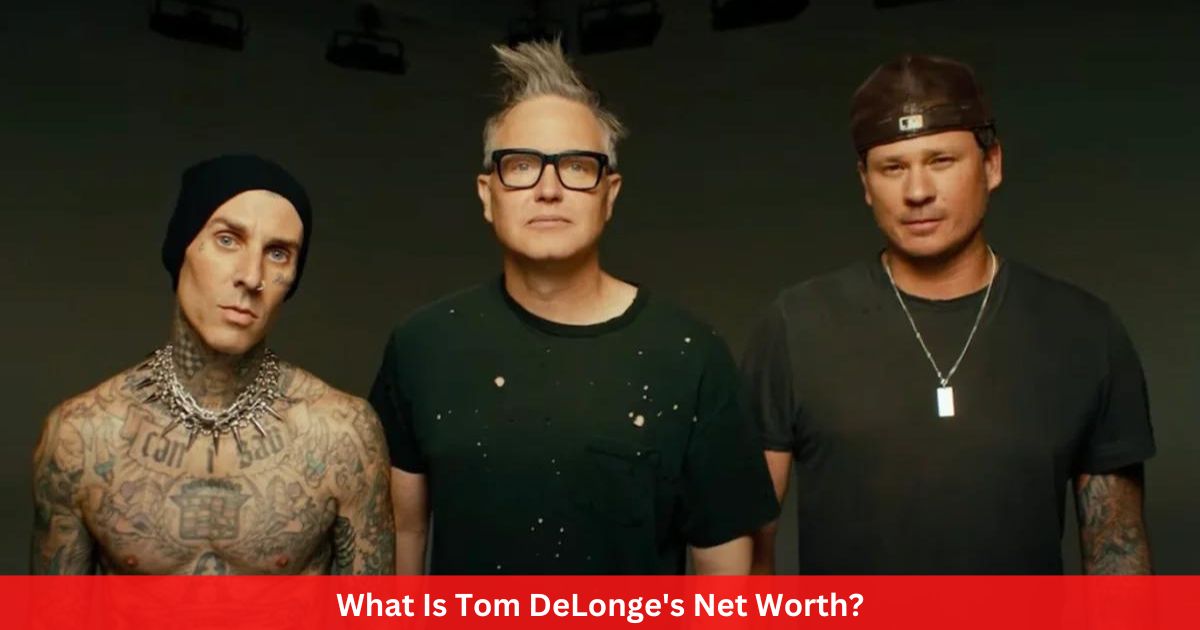 What Is Tom DeLonge's Net Worth?