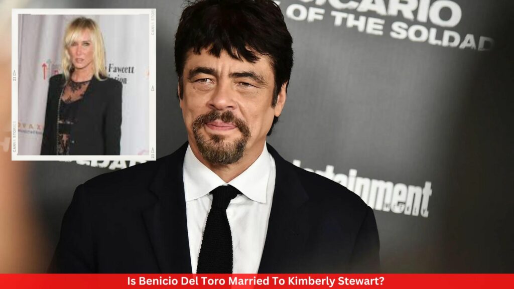Is Benicio Del Toro Married To Kimberly Stewart?