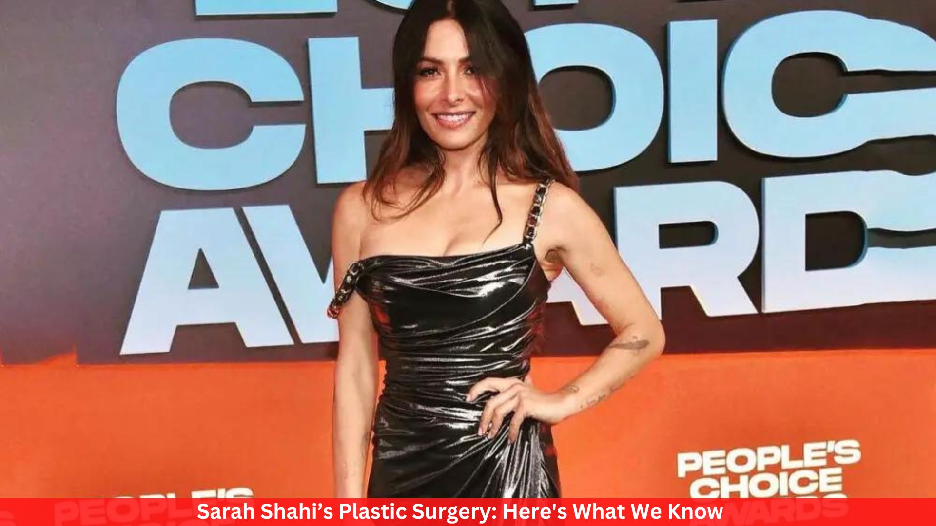 Sarah Shahi’s Plastic Surgery: Here's What We Know