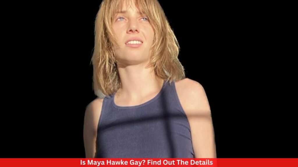 Is Maya Hawke Gay? Find Out The Details