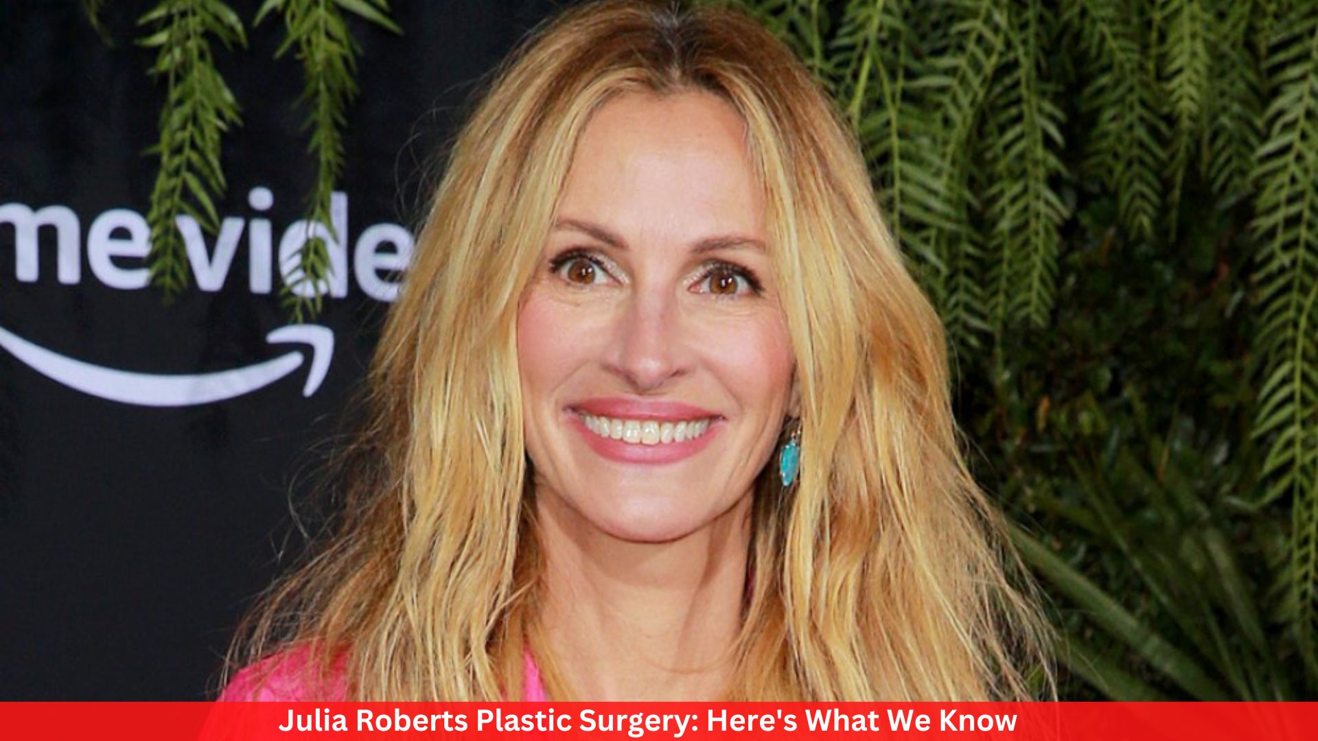 Julia Roberts Plastic Surgery: Here's What We Know